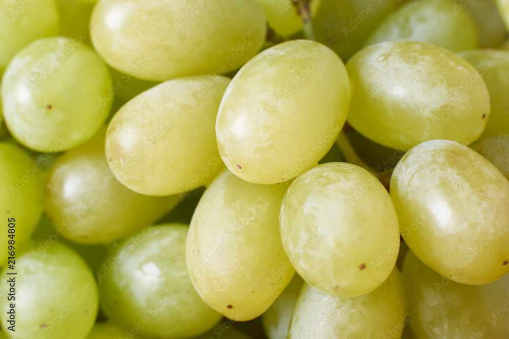 ripe grapes harvest the grapes of the vineyards of the winery grapes red green natural ripe grapes harvest the grapes of the vineyards of the winery grapes red green natural