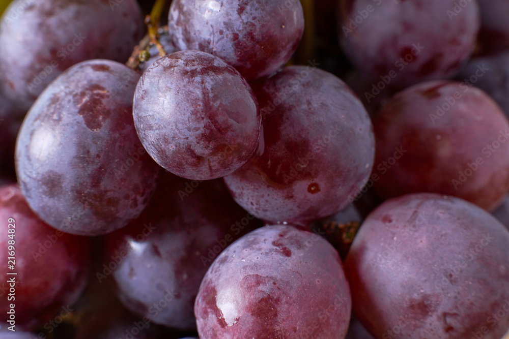ripe grapes harvest the grapes of the vineyards of the winery grapes red green natural ripe grapes harvest the grapes of the vineyards of the winery grapes red green natural