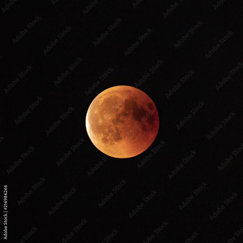 Blood Moon - Total Lunar Eclipse