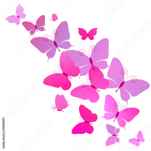 beautiful pink butterflies  isolated  on a white