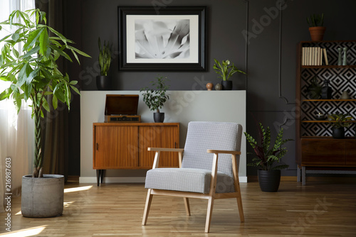 Fototapeta Naklejka Na Ścianę i Meble -  Patterned armchair next to plant in grey living room interior with poster above cabinet. Real photo