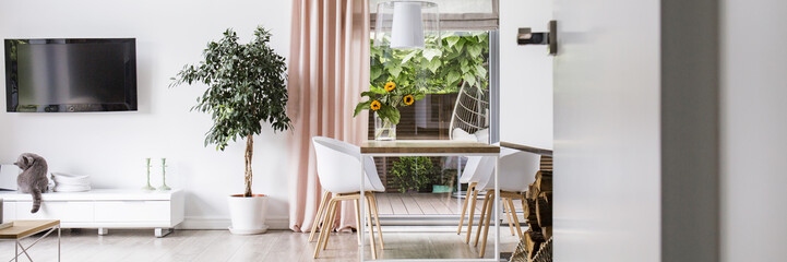 Real photo of white living room interior with fresh plant, dining table with flowers and cat sitting on cupboard under TV