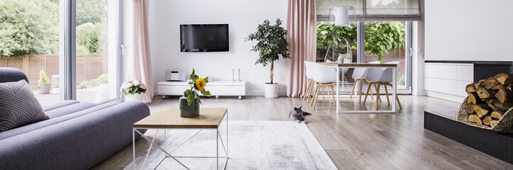 Real photo of white open space room interior with glass door, pink curtains, TV on the wall, cat lying by the carpet and dining table with chairs