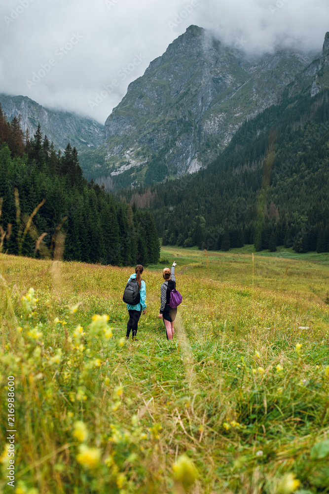 Two women friends hiking on the green meadow hills in beautiful Rysy mountains in Tatras, Poland and Slovakia