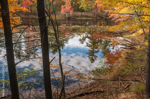 Fototapeta Naklejka Na Ścianę i Meble -  A calm lake in the forest with brightly colored autumn trees and reflections in the water. USA. Maine.
