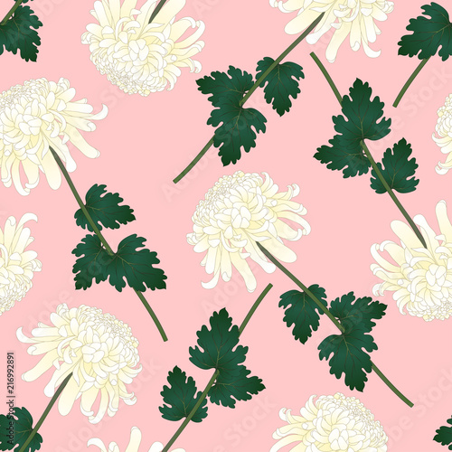 White Chrysanthemum Flower ...