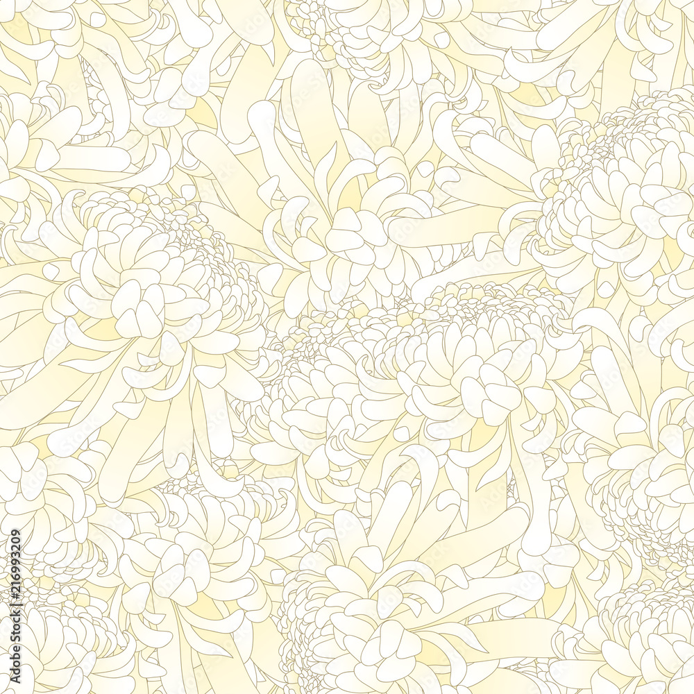 Fototapeta premium White Chrysanthemum Flower Seamless Background