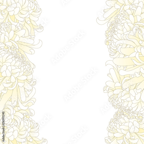White Chrysanthemum Flower ...