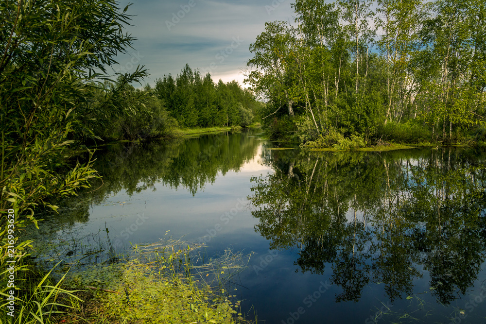 On the forest river On the forest river