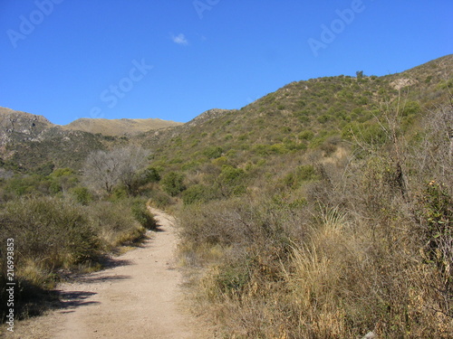 Path in the mountains in a sunny winter day.