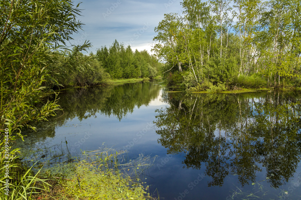 Fototapeta premium On the forest river