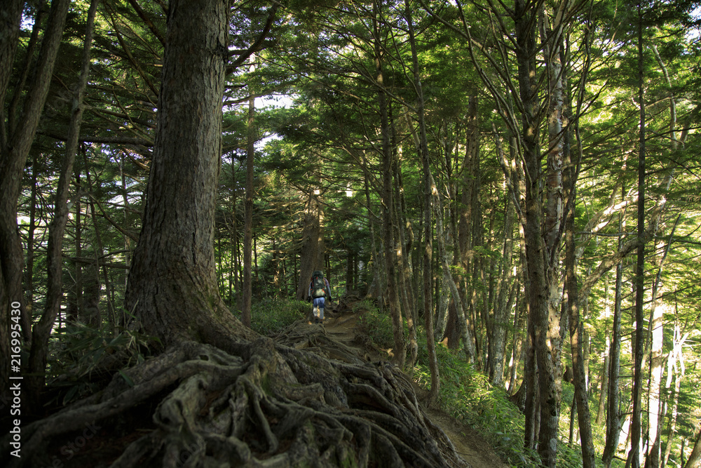 Obraz premium 北アルプス 燕岳 大天井岳 槍ヶ岳 表銀座縦走 14