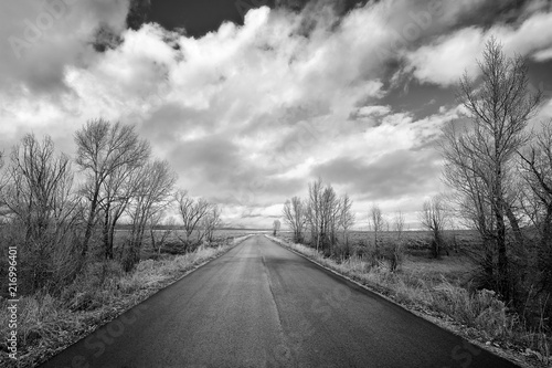 Black and white picture of a scenic road in the Grand Teton National Park, Wyoming, USA. © MaciejBledowski