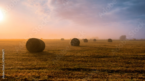 Sianokosy w dolinie Narwi