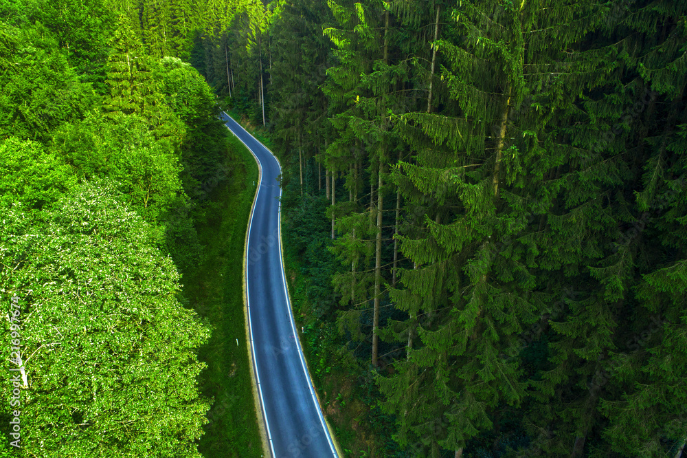 Verkehrsweg durch einen Wald