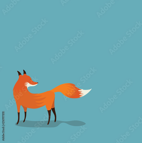 Red Fox on simple background