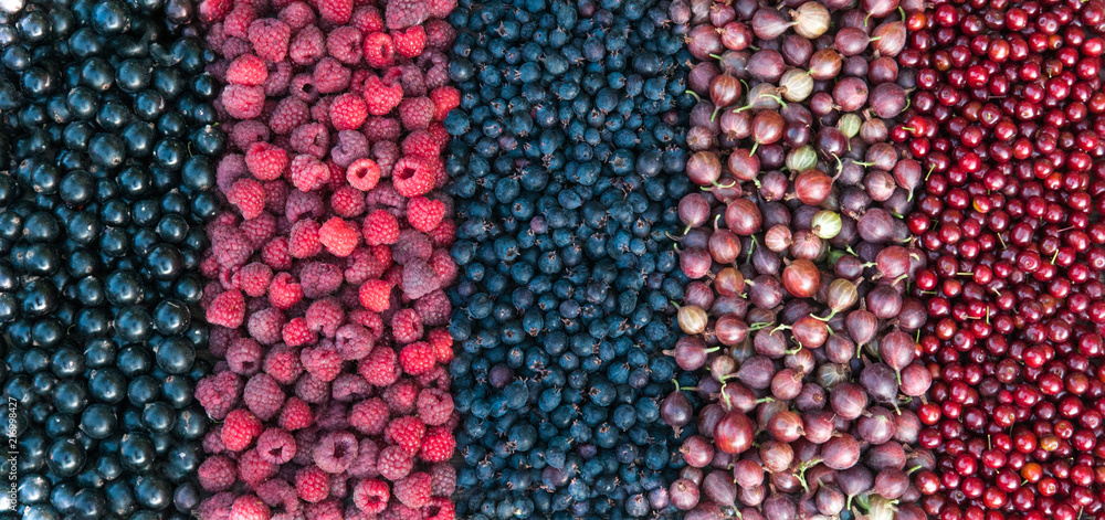 Berries of gooseberries, black currants, raspberries, shadbush, cerasus virginica on a wooden background. Berries of gooseberries, black currants, raspberries, shadbush, cerasus virginica on a wooden background.