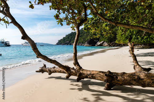 Fototapeta Naklejka Na Ścianę i Meble -  Beautiful tropical islands with lush green foliage and granite rocks (Similan Islands, Thailand)