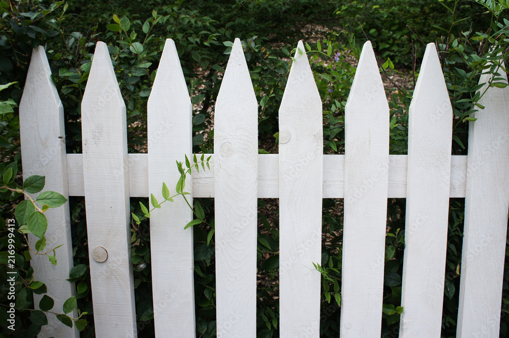 White fence in garden background White fence in garden background