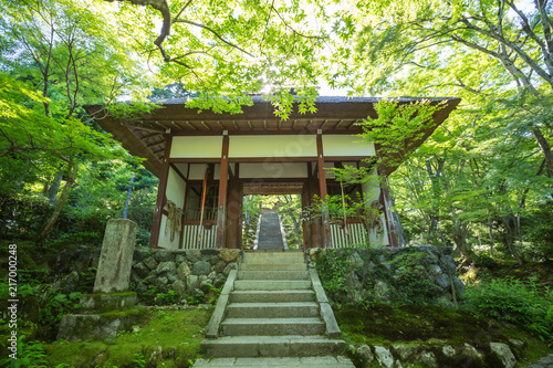 Japanese temple with japanese maple tree leaves in Kyoto vintage film style © Oran Tantapakul
