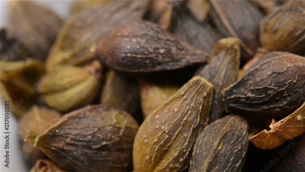 Chinese herb medicine of Forsythiae Fructus or Weeping Forsythia Fruit rotating close up Chinese herb medicine of Forsythiae Fructus or Weeping Forsythia Fruit rotating close up