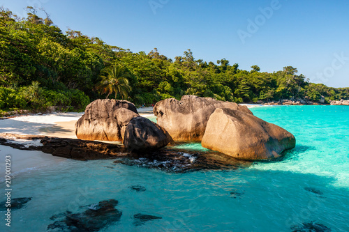 A crystal clear tropical ocean next to a deserted sandy beach surrounded by lush green foliage