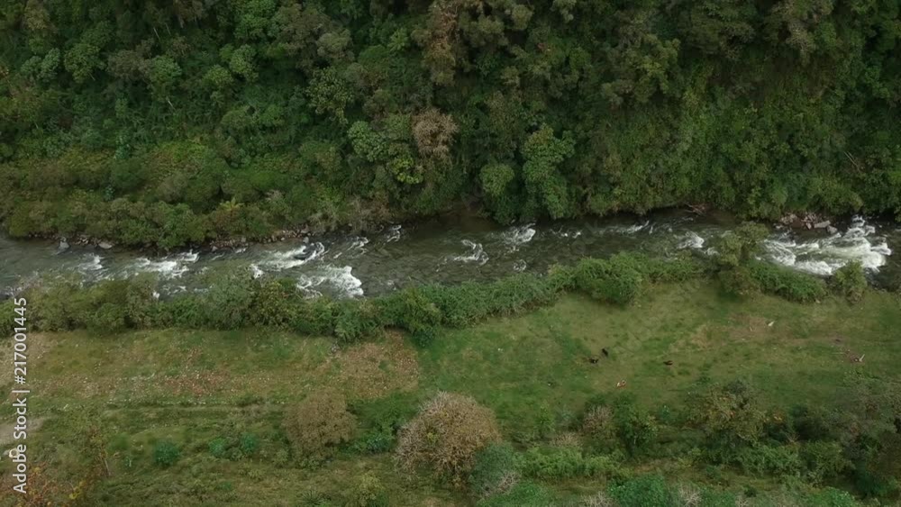 AERIAL: Flying over dense Jungle in Ecuador AERIAL: Flying over dense Jungle in Ecuador