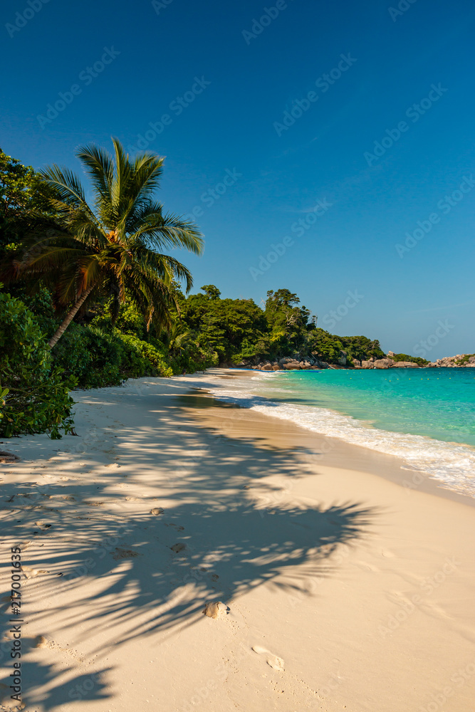 Obraz premium A beautiful sandy beach on an idyllic tropical island (Similan Islands, Thailand)
