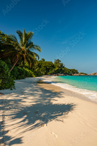 A beautiful sandy beach on an idyllic tropical island  Similan Islands  Thailand 