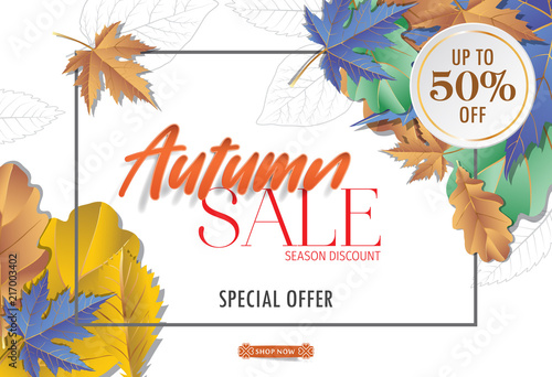 Autumn sale background layout decorate with leaves for shopping sale or promo. Autumn special offer design vector.