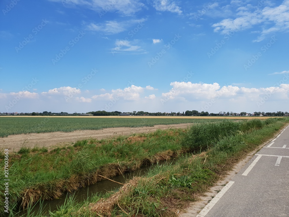 Potato field in the Wilde Veenen polder in Waddinxveen the Netherlands.