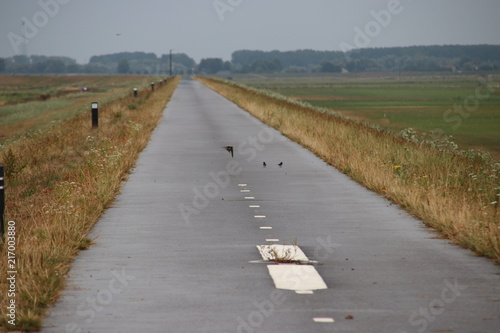 fields in the Eendragtspolder in Zevenhuizen the Netherlands, a polder used for water storage to protect Rotterdam agains flooding. photo