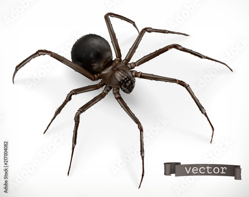 Realistic spider. Halloween 3d vector icon