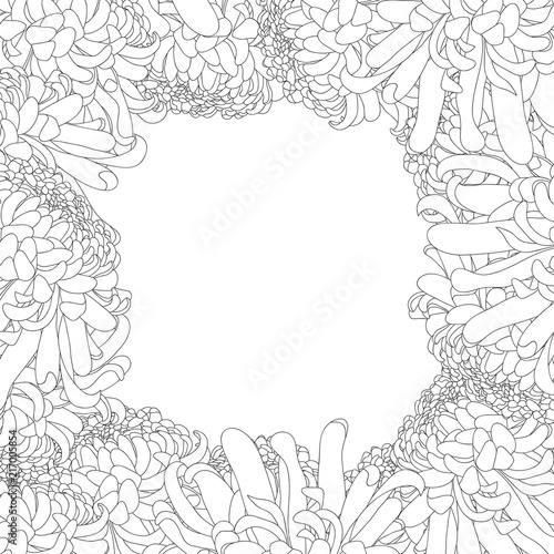 Chrysanthemum Outline Flower Border