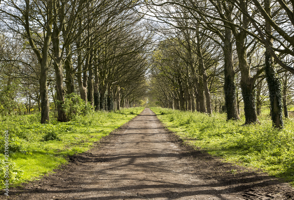 Spring Causeway Spring Causeway