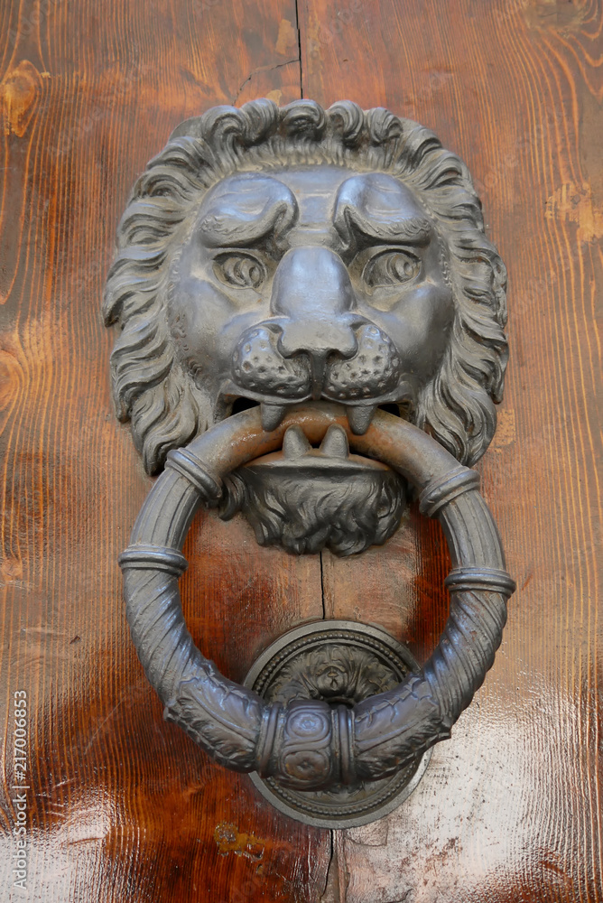 A substancial cast iron door knocker
