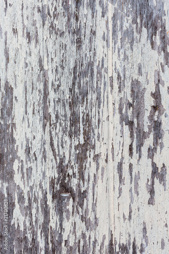 The old wooden wall texture as a background