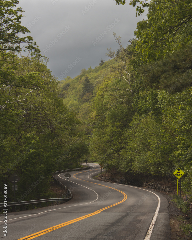 Fototapeta premium NY Roadscape