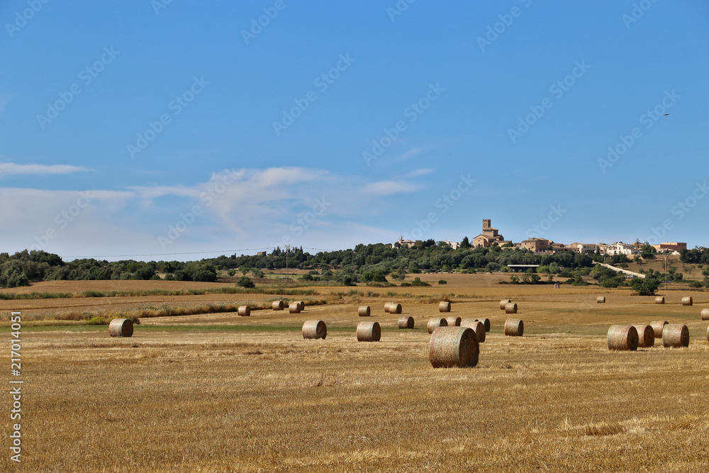 Countryside with crops and castle
