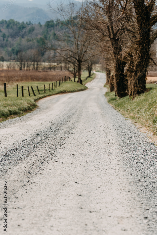 Gravel Road , trees, Cades Cove