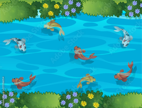 Fototapeta Naklejka Na Ścianę i Meble -  Fish swimming in a stream