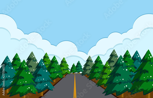 A beautiful road landscape