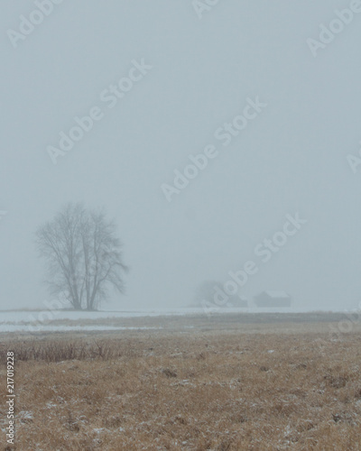 Wallpaper Mural Snowy Barn Torontodigital.ca