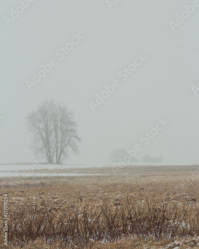 Wallpaper Mural Snowy Barn Torontodigital.ca