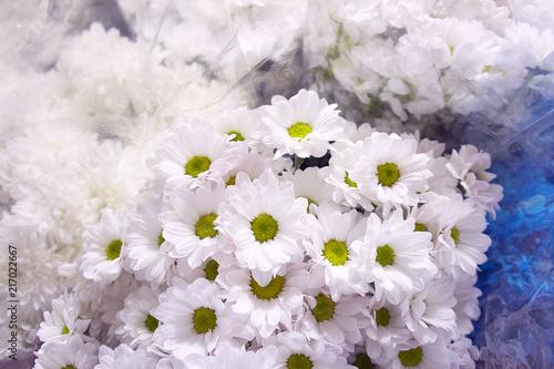 White chrysanthemums in a flower shop. A bouquet of chrysanthemums. Chrysanthemum Flower. White flowers.