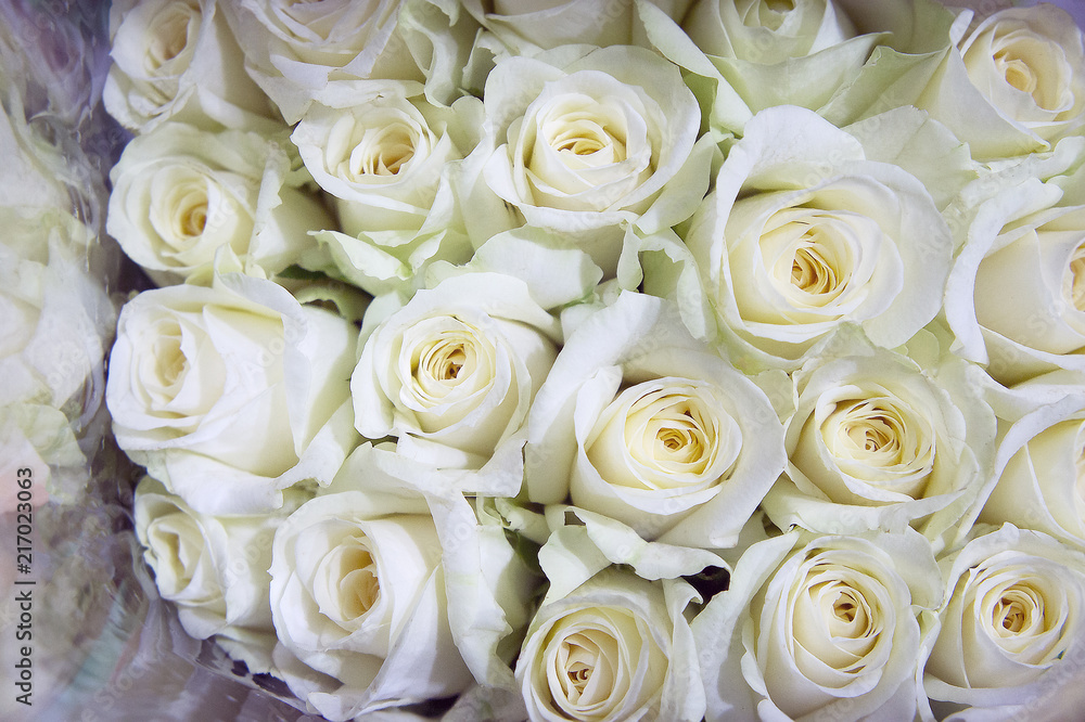 White roses on the market. Rose in a flower shop. White roses on the market. Rose in a flower shop.