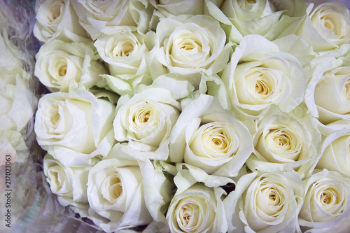 White roses on the market. Rose in a flower shop.