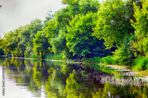 Trees on the river side.