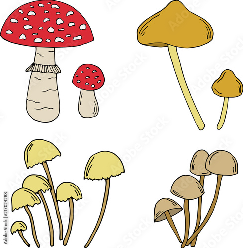 Set of poisonous mushroom. Bright cartoon illustration for card design, fabric and wallpaper.