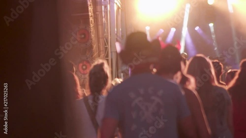 Behind the crowd partying at a music festival photo